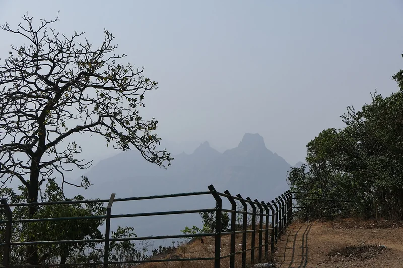 चंदेरी: तस्वीर 3